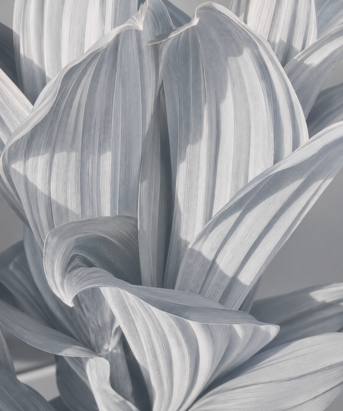 Cool Grey inspiration
